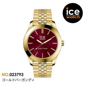 yrv fB[X ACXEHb` ICE steel zv X[TCY \[[[d^Cv \[[ h v ACXX`[ XeXX`[xg 荠 10atm 퐶h ice watch S