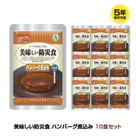 5年保存 非常食 UAA食品 美味しい防災食 ハンバーグ煮込み 10袋セット