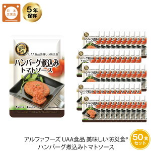 非常食 ハンバーグの人気商品 通販 価格比較 価格 Com