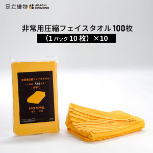 D pktFCX^I SK-FT10 100 1pbN10×10pbN tFCX^I ^I 100 10Nۑ ^󈳏k ^pbN IW XL[J[  ً} ЊQ h h