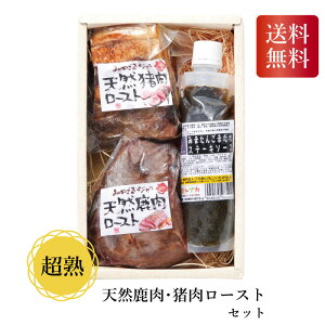 _Ε  550~OFFN[|E12/10^ n VRE[XgZbg Mtg  Ε  ~Mtg2025 ~Mtg 