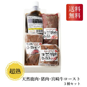 _150~OFFN[|E9/24 1:59^ n VREE{苍[Xg3Zbg Mtg lߍ킹  Ε 