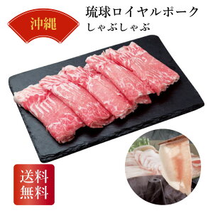  C|[NԂ Mtg Yi 䒆 Ε j TԂ ꌧ ~Mtg2025 ~Mtg 