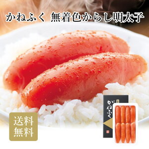 ˂ӂ F炵q No52 450g Mtg lߍ킹 Yi 䒆 Ε j TԂ  ~Mtg2025 ~Mtg 