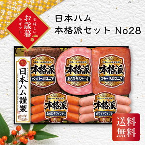 _ő20{|CgLy[E11/16^ {n {ih No28 Ε Mtg N  ~Mtg2025 ~Mtg 