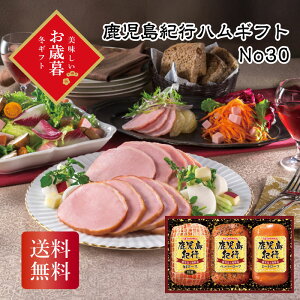 _ő20{|CgLy[E11/16^ IsnMtg No30 Ε Mtg N  ~Mtg2025 ~Mtg 