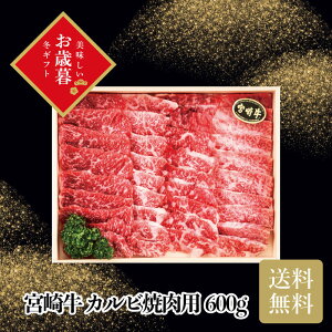 _ő20{|CgLy[E11/16^ _Ε  550~OFFN[|E12/10^ {苍Jrēp600g Ε Mtg N  ~Mtg2025 ~Mtg 