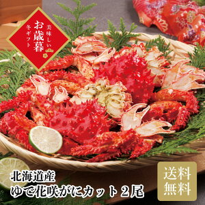 _Ε  550~OFFN[|E12/10^ kCYŉԍ炪ɃJbg2 Ε Mtg N  ~Mtg2025 ~Mtg 