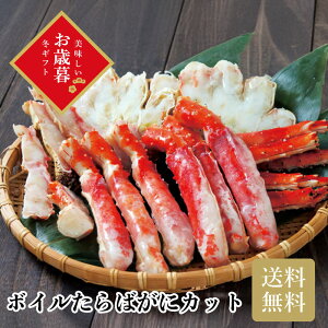 _Ε  550~OFFN[|E12/10^ {C΂ɃJbg Ε Mtg N  ~Mtg2025 ~Mtg 