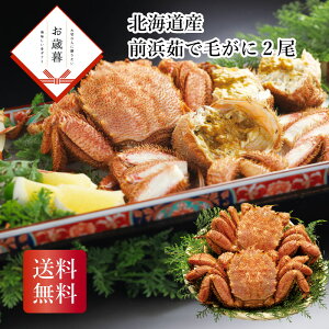 _Ε  550~OFFN[|E12/10^ kCYOl䥂Ŗт2 Ε Mtg N  ~Mtg2025 ~Mtg 