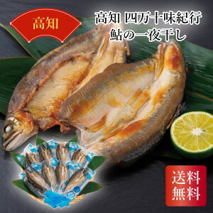 m l\Is ̈銱 Mtg lߍ킹 Yi 䒆 Ε j TԂ