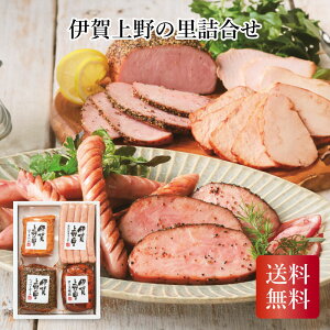 ɉ̗l  Ε N 蕨 Mtg 