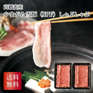 _50~OFFN[|E10/27 9:59^ {Y ܂؁iSPFjԂ  Ε N 蕨 Mtg 