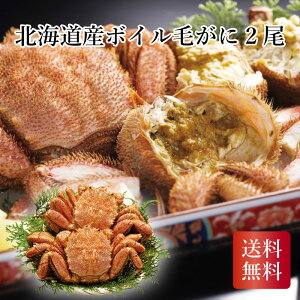 _ő20{|CgLy[E11/16^ _Ε  550~OFFN[|E12/10^ kCY {Cт 2 IkC̖уKj 䒆 Ε N ~Mtg2025 ~Mtg 