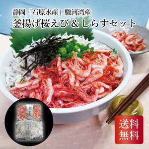 ÉuΌYvx͘pY gс炷Zbg Mtg lߍ킹 䒆 Ε j TԂ  ~Mtg2025 ~Mtg 