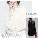 【限定SUMMER SALE最大50%OFFクーポン配布】レースカットソー 長袖 トップス きれいめ コーデ 30代 40代コーデ 50代 60代ファッション 締め付けない 大人カジュアル オフィス 可愛い 通勤 デイリー上品 春物