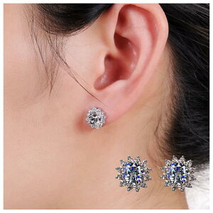 【ハロウィン限定全品20%OFFクーポン配布】雪花金属アレルギー対応 ピアス大粒のキュービックジルコニアが輝く ルクサージュステンレスピアス 両耳用 シルバー 男性用ピアス 男女ピアス パ