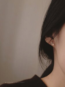 sAX AM[Ή p[WR 14K 14KR[eBO s925Vo[ s925 Vv X^[ _uXp[N 2AX^[ 2A t[v t[vsAX  fB[X ANZT[ 