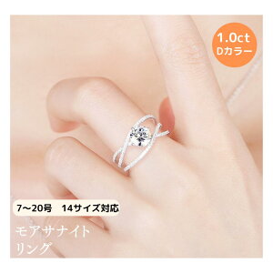 PT950_ChO 1ct ATiCg I[rbg O Vo[ 11 12 13 14 15 16 17 18 Eh 嗱 GKg l AbTiCg VVS1 LO v[g  