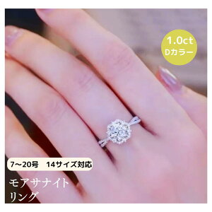 PT950_ChO 1ct ATiCg ԍ zCg Vo[ 11 12 13 14 15 16 17 18 Eh 嗱 GKg l AbTiCg VVS1 LO v[g  