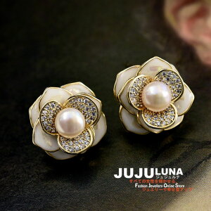 sAX JA ւ̉ Wp[ Gi 킢  i IV GKg p[eB[ 20304050  񎟉 q p[eB[ JWA l  ANZ