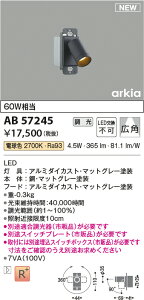 yňlɒz@ RCY~Ɩ KOIZUMI @uPbg@AB57245