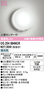 6/4�`6/11 �y�V�X�[�p�[SALE �ő�47�{�@�y������z �I�[�f���b�N ODELIC �@�G�N�X�e���A���C�g�@OG254984NCR