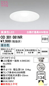 �y������z�@�@ �I�[�f���b�N ODELIC �_�E�����C�g OD301081NR
