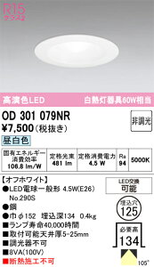 �y������z�@�@ �I�[�f���b�N ODELIC�@�_�E�����C�g�@OD301079NR