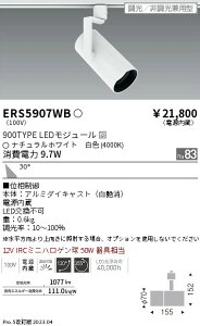 3周年記念セール ポイント最大5倍!! 【大特価】    遠藤 ERS5907WB