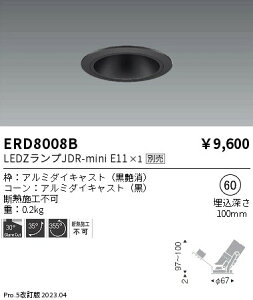 3周年記念セール ポイント最大5倍!! 【大特価】    遠藤 ERD8008B