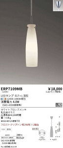 �y������z�@���� ERP7109MB