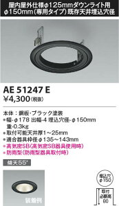 11/4`11/11I}\@ő47{@yňlɒz@ RCY~Ɩ KOIZUMI i*AE51247E