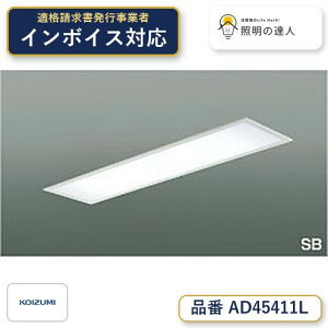 7/4�`7/11 ���������}���\�� �ő�49.5�{�@�y�ň��l�ɒ���z�@ �R�C�Y�~�Ɩ� koizumi LEDSB�`�������*AD45411L