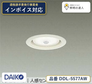 ����d�@ DDL-5577AW �_�E�����C�g �����F 480lm