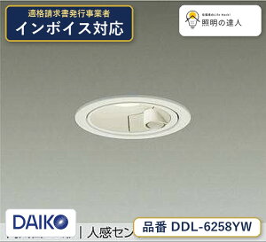 ����d�@ DDL-6258YW �_�E�����C�g �d���F 510lm