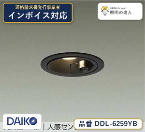 ����d�@ DDL-6259YB �_�E�����C�g �d���F 415lm
