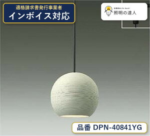 ����d�@ DPN-40841YG �y���_���g �d���F 290lm