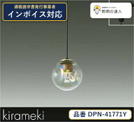 大光電機 DPN-41771Y ペンダント 電球色 170lm
