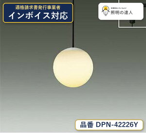 ����d�@ DPN-42226Y �y���_���g �d���F 410lm