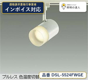 ����d�@ DSL-5524FWGE �X�|�b�g���C�g �d���F 700lm