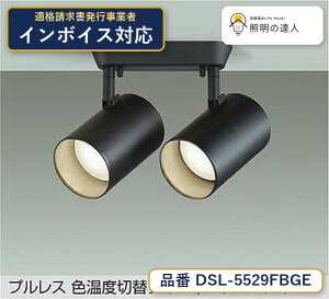 ����d�@ DSL-5529FBGE �X�|�b�g���C�g �d���F 650lm