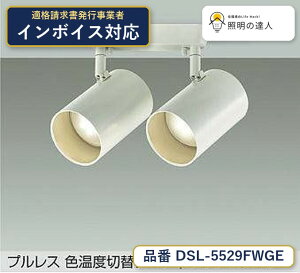 ����d�@ DSL-5529FWGE �X�|�b�g���C�g �d���F 810lm
