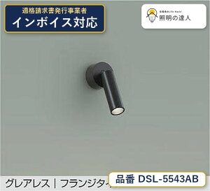 ����d�@ DSL-5543AB �X�|�b�g���C�g �����F 540lm