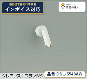 ����d�@ DSL-5543AW �X�|�b�g���C�g �����F 540lm