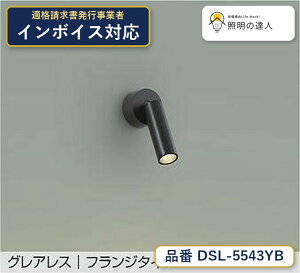 ����d�@ DSL-5543YB �X�|�b�g���C�g �d���F 510lm