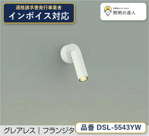 ����d�@ DSL-5543YW �X�|�b�g���C�g �d���F 510lm