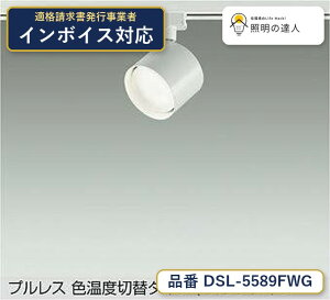 ����d�@ DSL-5589FWG �X�|�b�g���C�g �d���F 700lm