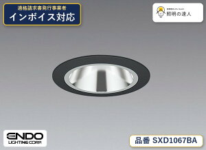 �O���A���X�@�x�[�X�_�E�����C�g�@���ʃR�[�� ��50�@synca�@�����Ɩ��@SXD1067BA