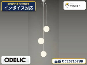 �y������z�@�@ �I�[�f���b�N ODELIC ���������Ɩ� OC257107BR